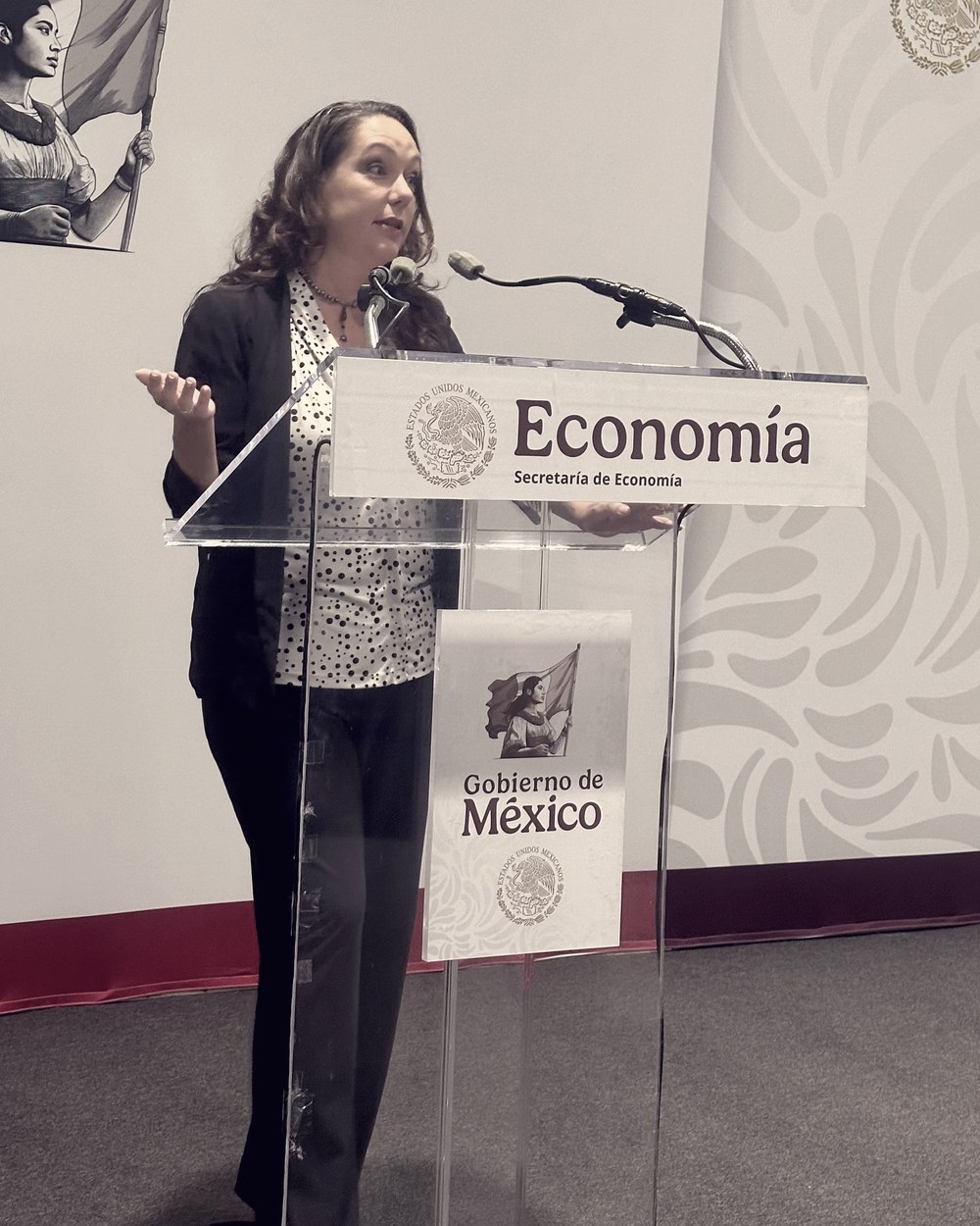 Meagan Crawford speaking at a podium at the Secretaría de Economía, Government of Mexico.